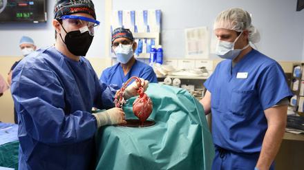 Ärzte hatten ein Schweineherz in einen menschlichen Patienten eingesetzt.