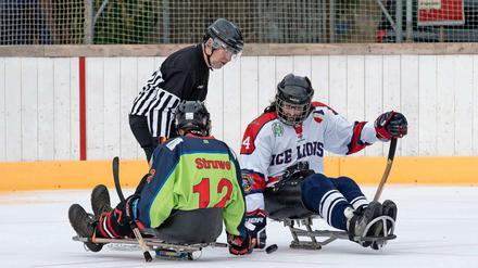 In Berlin stellen die Preussen ein Sledge-Hockey-Team. Die Mannschaft um Willi Struwe startet in Kooperation mit Freiburg in der Bundesliga.