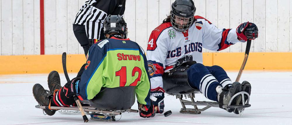 In Berlin stellen die Preussen ein Sledge-Hockey-Team. Die Mannschaft um Willi Struwe startet in Kooperation mit Freiburg in der Bundesliga.