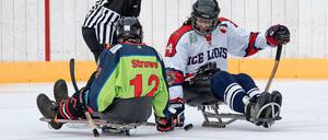 In Berlin stellen die Preussen ein Sledge-Hockey-Team. Die Mannschaft um Willi Struwe startet in Kooperation mit Freiburg in der Bundesliga.