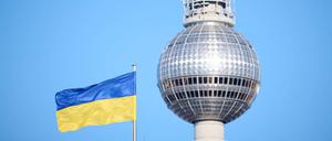 In Berlin veranstalten mehrere ukrainische Musiker Benefizkonzerte, um Spenden für ihre Heimat zu sammeln.