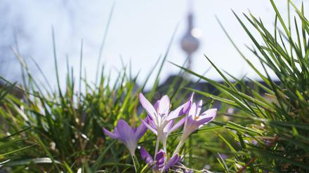 Das Wochenende wird warm und sonnig.