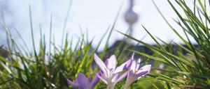 Das Wochenende wird warm und sonnig.