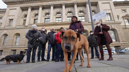 Hundehalter demonstrierten im Februar gegen das seit 1. Januar 2022 geltende Hunderegister vor dem Abgeordnetenhaus. 