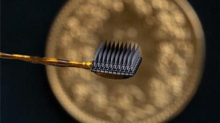 Zwei solcher Implantate wurden dem Patienten in seinen motorischen Cortex eingesetzt. 