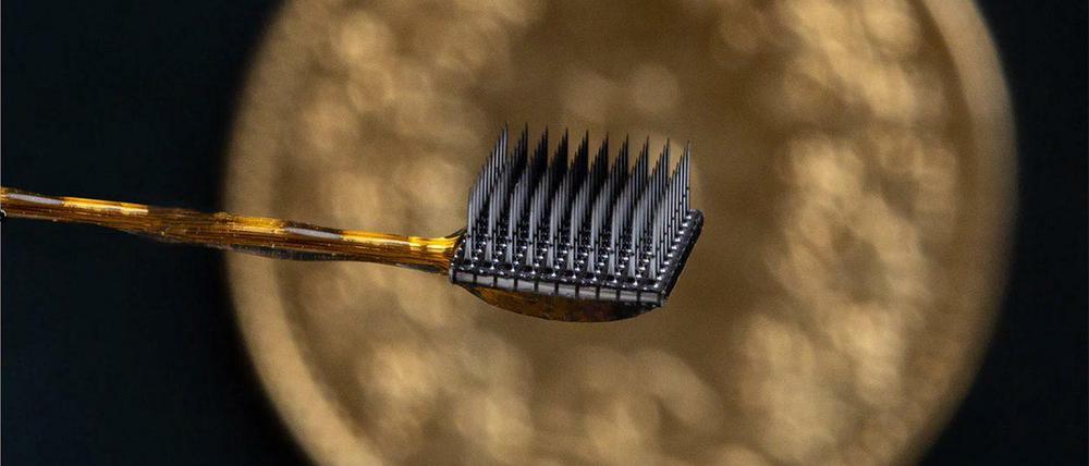 Zwei solcher Implantate wurden dem Patienten in seinen motorischen Cortex eingesetzt.