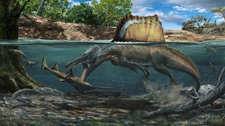 Analysen der Knochen von Spinosaurus zeigen: Er jagte im und unter Wasser.