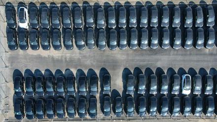 Viele Elektrofahrzeuge vom Typ Tesla Model Y stehen auf dem Gelände der Tesla Gigafactory Berlin Brandenburg. Schon vor der offiziellen Eröffnung am 22.3.22 hatte die Produktion begonnen.