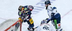 Die Eisbären (hier mit Kevin Clark) sahen gegen Straubing lange wie der Sieger aus, dann passierte beinahe Unwirkliches.