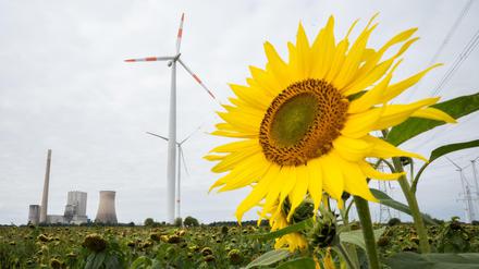 Klimaschutz und Kohleausstieg sind zentrale Themen in der heutigen Politik