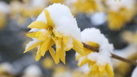 In weiten Teilen Deutschlands begann der April 2022 mit Schnee.