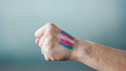 Die Farben der trans Community.
