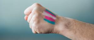 Die Farben der trans Community.