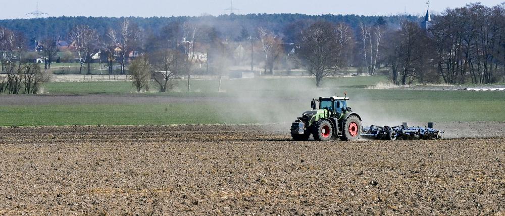 Nach dem regenarmen März sind die Böden auch in Brandenburg oberflächlich ausgetrocknet.