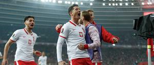 Robert Lewandowski erzielte das 1:0 für Polen gegen Schweden und ebnete so den Weg zur WM.