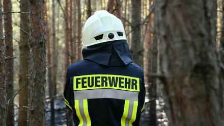 In einem Waldgebiet in Brandenburg steht ein Feuerwehrmann. Bereits jetzt hat die Feuerwehr mit etlichen Waldbränden zu tun. 