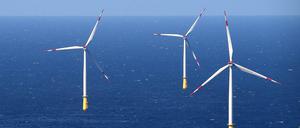 Ein Umspannwerk und Windräder stehen in der Nordsee. 2035 soll es in Deutschland fast ausschließlich Ökostrom geben.