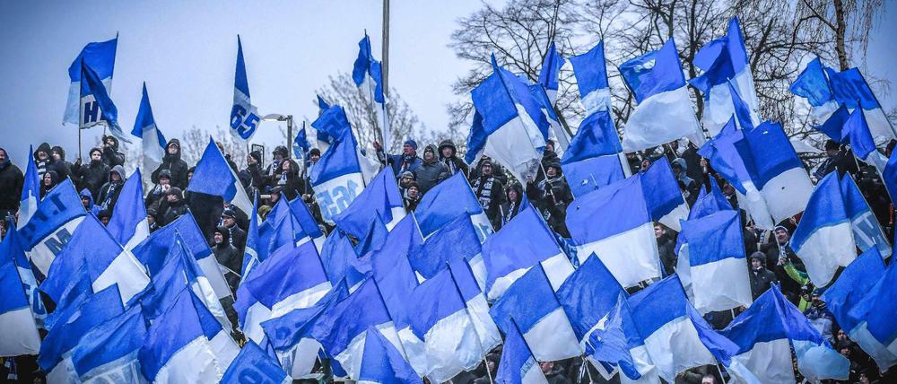 Blau und weiß. Fans des FC Magdeburg.