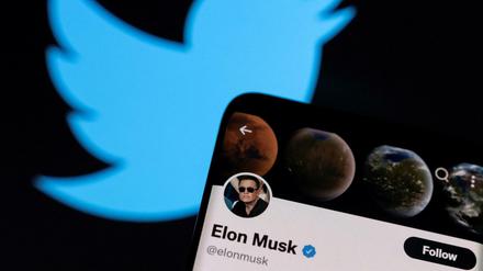 Elon Musk will Twitter übernehmen.