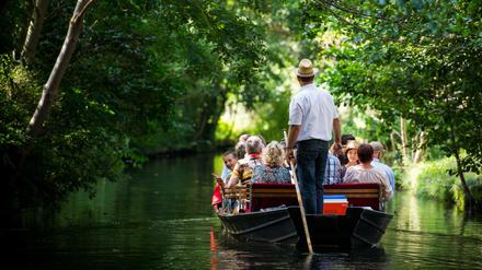 Meditativ. Für viele Spreewald-Besucher sind die Holzkähne vor allem eine Tourismus-Attraktion. Doch auch heute noch werden mit ihnen etwa Baumaterialien oder Kohle an Wassergrundstücke transportiert. Foto: Patrick Pleul/dpa