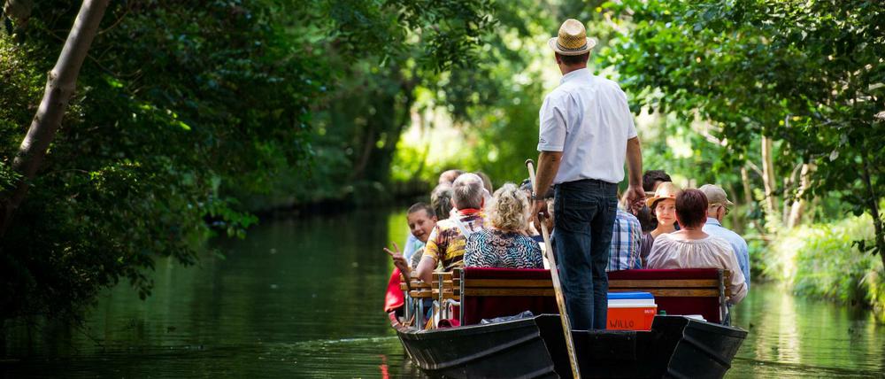 Meditativ. Für viele Spreewald-Besucher sind die Holzkähne vor allem eine Tourismus-Attraktion. Doch auch heute noch werden mit ihnen etwa Baumaterialien oder Kohle an Wassergrundstücke transportiert. Foto: Patrick Pleul/dpa