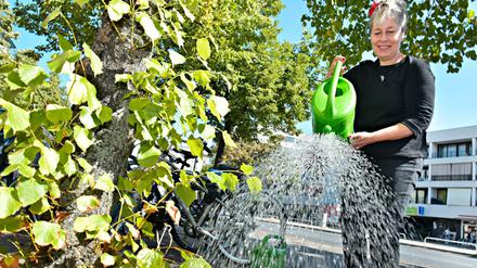 Nachmachen, bitte! Inez Meyer kümmert sich regelmäßig um einige Bäume in ihrer Straße in Charlottenburg.