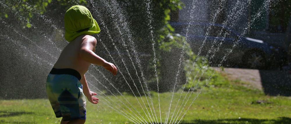 Die Berliner Wasserbetriebe sehen im Sommer ihre „Kapazitätsgrenzen, vor allem im Hinblick auf die Nutzung in Gärten.“ 