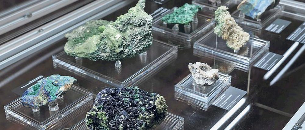 Gesteinsbrocken mit Beschriftungen liegen in einer Vitrine.