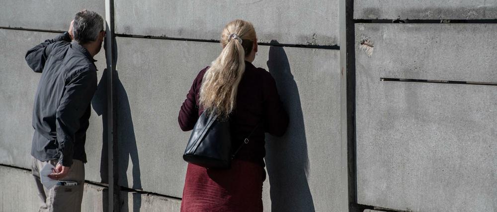 Interessierte können frei in der Datenbank der Stiftung recherchieren.