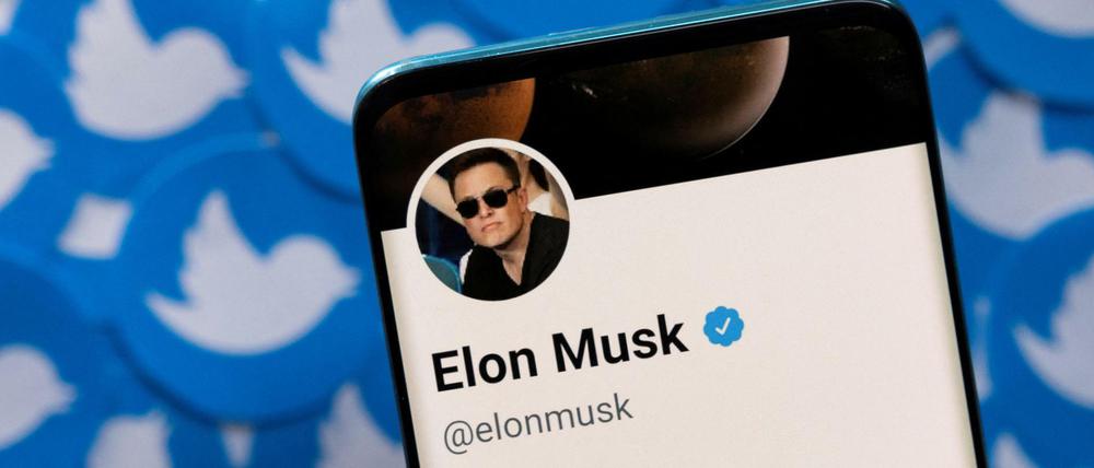 Elon Musks Twitter-Profil