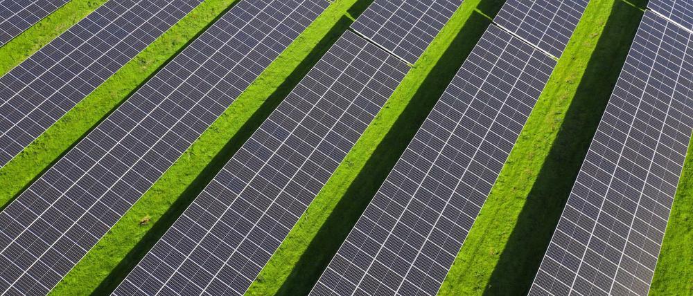 Ein Solarpark.