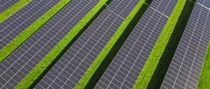 Ein Solarpark.