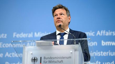 Wirtschaftsminister Robert Habeck hielt ein Öl-Embargo kürzlich für machbar und sieht das Land darauf vorbereitet.