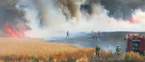 Waldbrände, hier bei Frankfurt (Oder), könnten bei fortschreitender Erderwärmung häufiger auftreten.