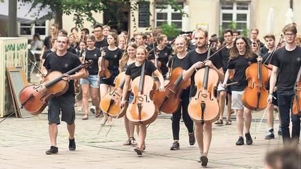 Es geht wieder los. Das Collegium musicum nimmt in allen Ensembles neue Mitglieder auf. 