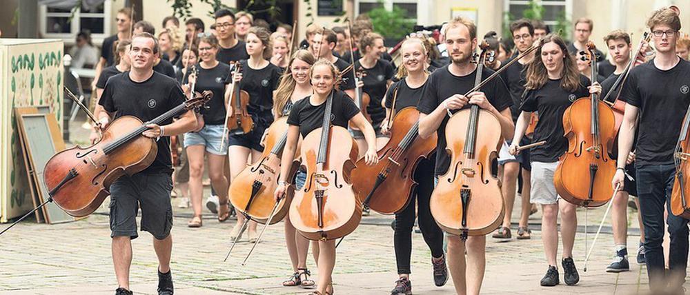 Es geht wieder los. Das Collegium musicum nimmt in allen Ensembles neue Mitglieder auf.