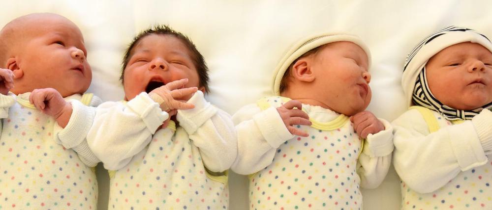 Neugeborene Babys.
