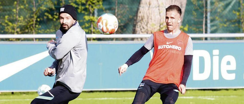 Alt, aber unersetzlich. Marvin Plattenhardt (links) und Peter Pekarik sind unter dem neuen Trainer Felix Magath wieder unangefochtene Stammspieler bei Hertha BSC.