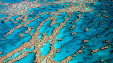 Riffe und Atolle am Great Barrier Reef vor Australiens Küste