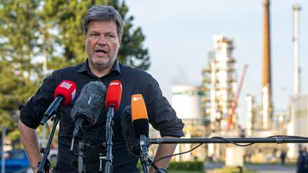 Der Bundeswirtschaftsminister Robert Habeck (Grüne). 