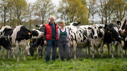 Kühe stehen auf der Weide vom Milchviehbetrieb mit Hartmut (l) und Sigrid Seetzen in Varel, Niedersachsen.