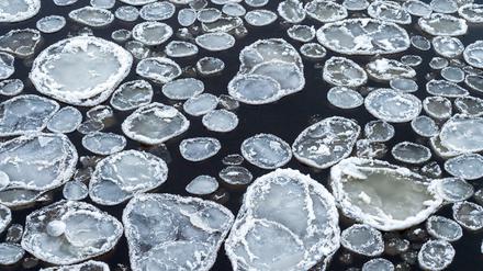Treibgut wie wir. Eisschollen auf dem deutsch-polnischen Grenzfluss Oder im brandenburgischen Frankfurt.