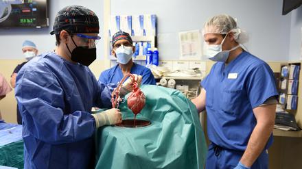 Mit dem verpflanzten Herzen wurden Viren übertragen, die das Transplantat später wahrscheinlich schädigten.