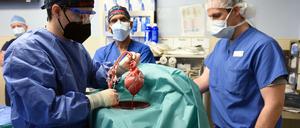 Mit dem verpflanzten Herzen wurden Viren übertragen, die das Transplantat später wahrscheinlich schädigten.