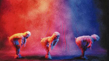 Als es noch einen Sendeschluss im Fernsehen gab, schickte Arte Menschen in Schafskostümen über den Bildschirm. Die Einschlafhilfe faszinierte und konkurrierte doch mit den Fischen, die durch das Aquarium im ORB-Fernsehen schwammen.