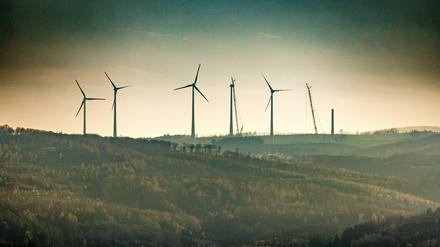 Windräder könnten in Zukunft öfter in Wäldern stehen. 