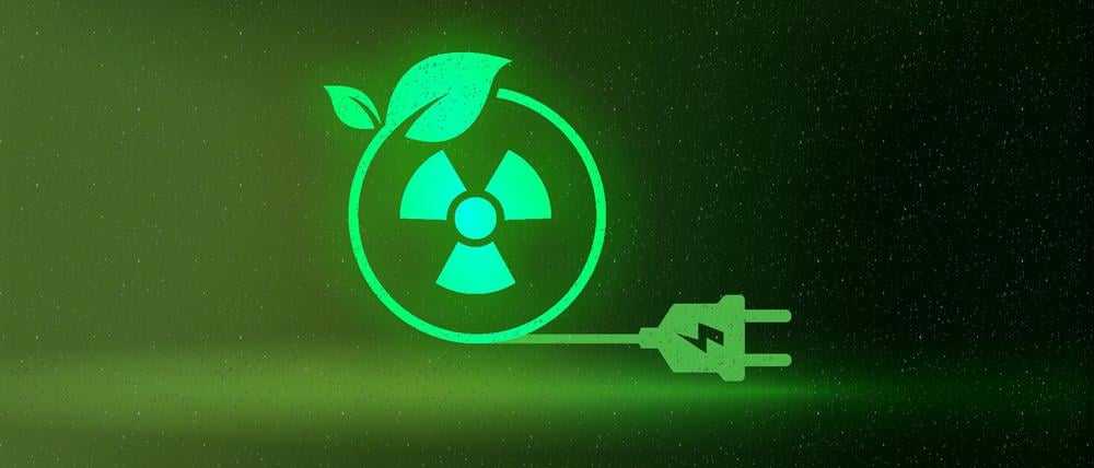 Die EU-Kommission schlägt vor, die Atomkraft als grüne Energiequelle einzustufen. Wie steht es um die Chancen der Bundesregierung, daran noch etwas zu ändern?