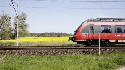 Eine Regionalbahn fährt durch Brandenburg (Symbolbild).
