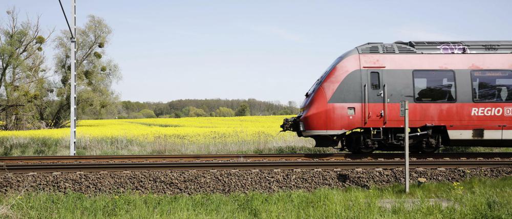 Eine Regionalbahn fährt durch Brandenburg (Symbolbild).