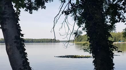 Der Klempowsee aus Richtung Süden aufgenommen.